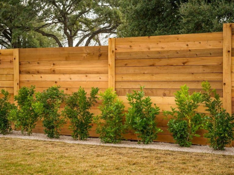 Wooden fence with horizontal panels and small green shrubs at the base.