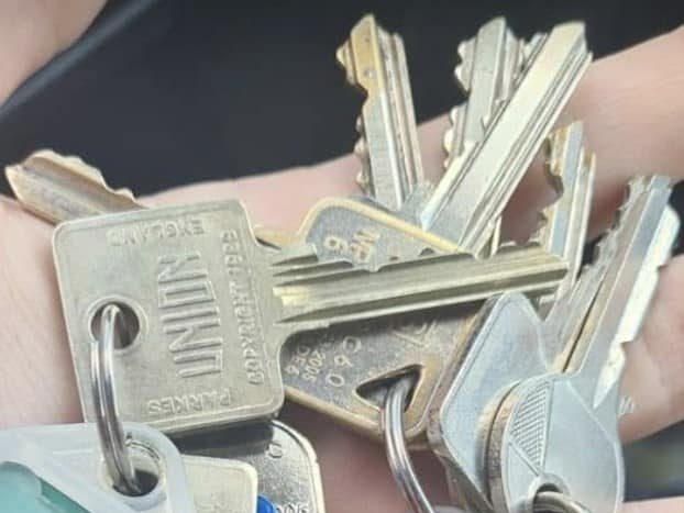 A hand holding a bunch of various metal keys.