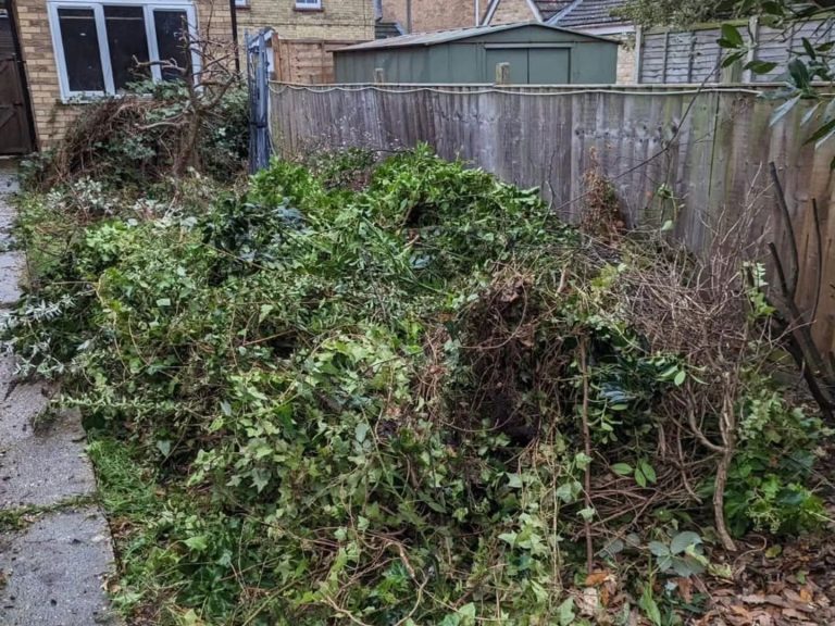 Overgrown garden area with a large pile of green cuttings and twigs.