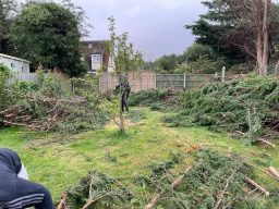 Cleared garden area with scattered branches and a young tree in the centre.